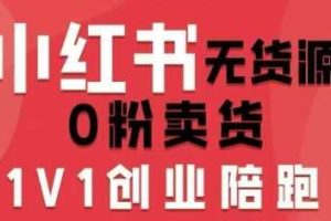 小红书无货源0粉电商课，开店准备、选品策略、笔记撰写、视频剪辑、数据分析、账号打造、资料文档（更新26年09月16日）