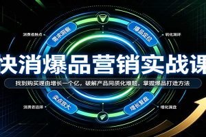 快消爆品营销实战课：找到购买理由增长一个亿，破解产品同质化难题，掌握爆品打造方法