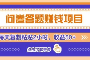 零成本零门槛!问卷赚钱实操攻略,新手小白也能操作,每天复制粘贴2小时,收益50+