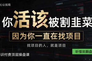 做项目不如卖项目，做知识付费自己当老板，知识付费顶层操盘课，听懂就翻盘【揭秘】