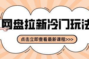 网盘拉新贴吧冷门玩法2-3天变现，实操细节全拆解快速上手拓展收益渠道